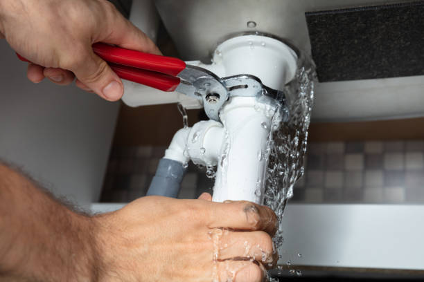 Best Flood damage cleanup  in Nokesville, VA