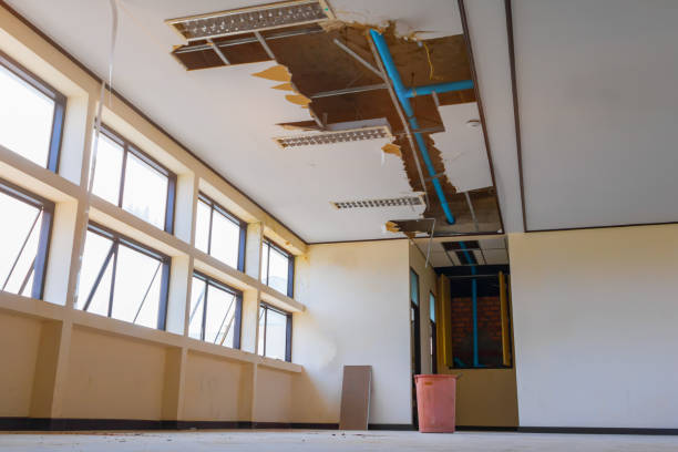 Best 24/7 water damage repair  in Nokesville, VA