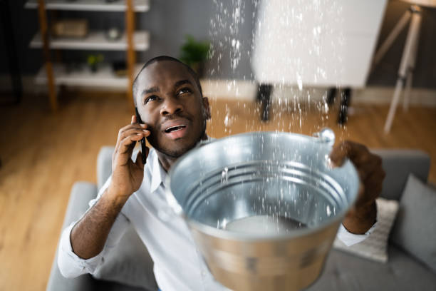 Best Flooded house restoration  in Nokesville, VA