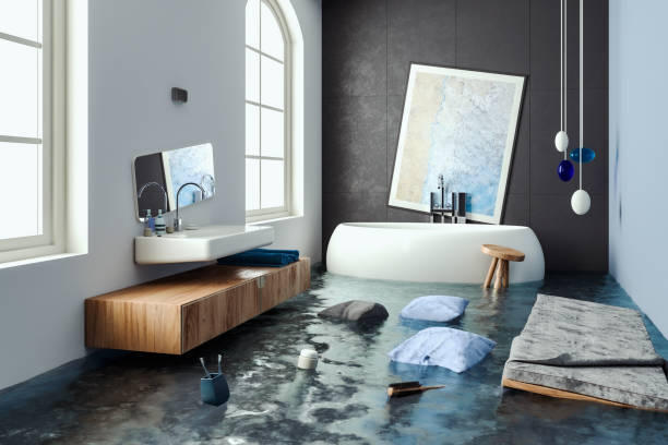 Best 24/7 water damage repair  in Nokesville, VA