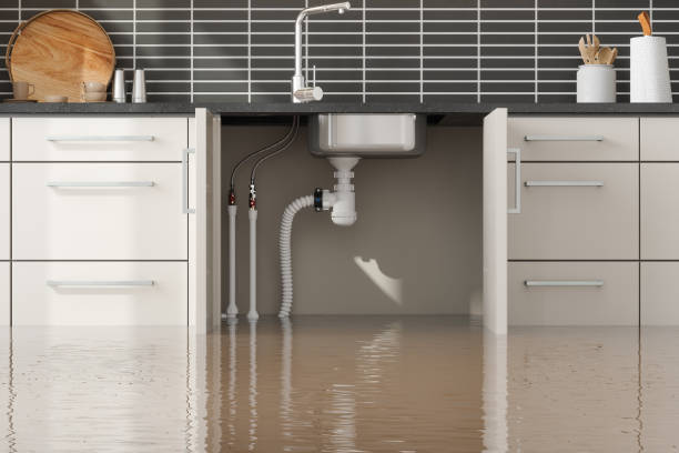 Best Flooded house restoration  in Nokesville, VA