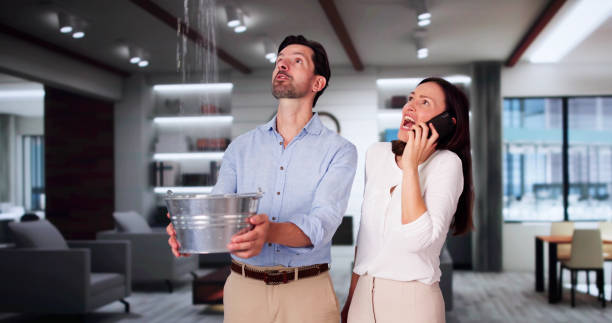 Best Water damage restoration mold remediation  in Nokesville, VA