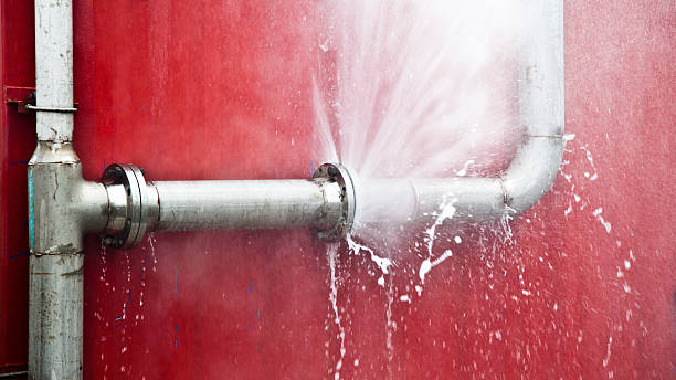 Best Water damage cleanup near me  in Nokesville, VA